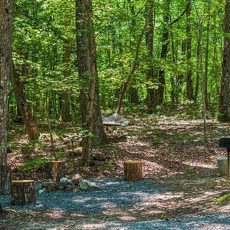 Coyote Cabin At Woodland Retreat At Desoto Beside Desoto State Park Fort Payne Luaran gambar