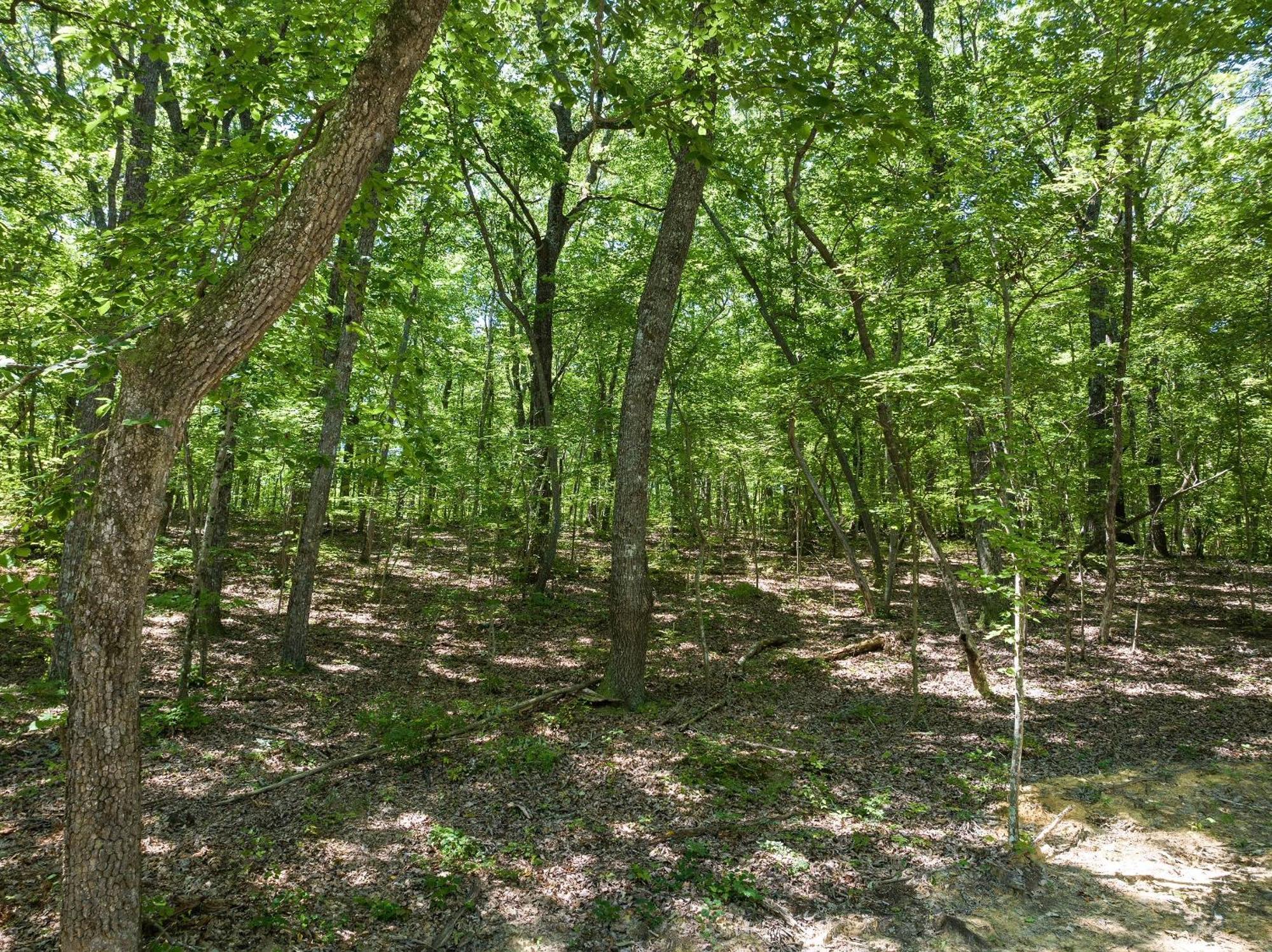 Coyote Cabin At Woodland Retreat At Desoto Beside Desoto State Park Fort Payne Luaran gambar