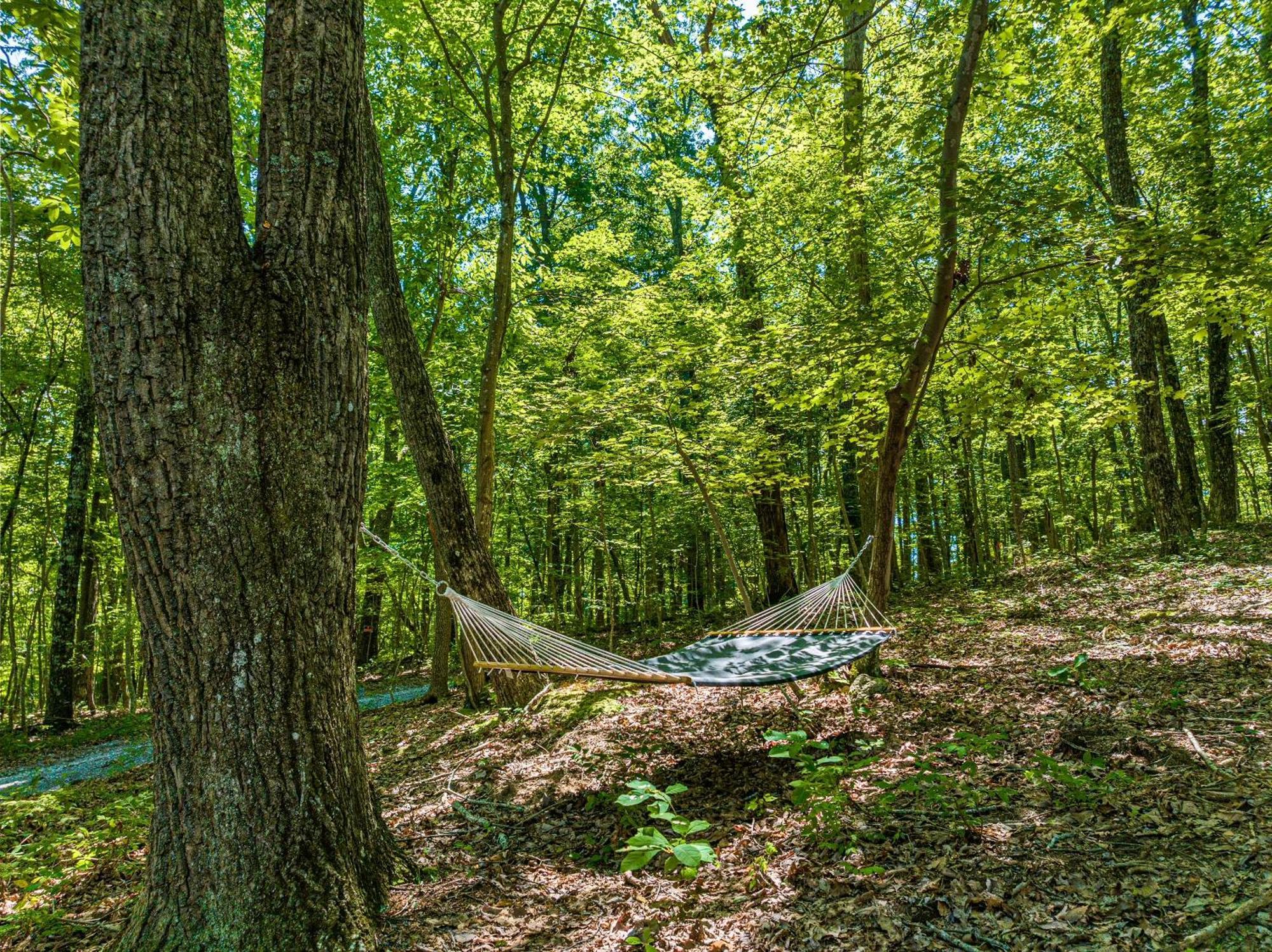 Coyote Cabin At Woodland Retreat At Desoto Beside Desoto State Park Fort Payne Luaran gambar